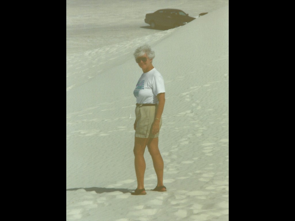 C180 White Sands New Mexico 1992
